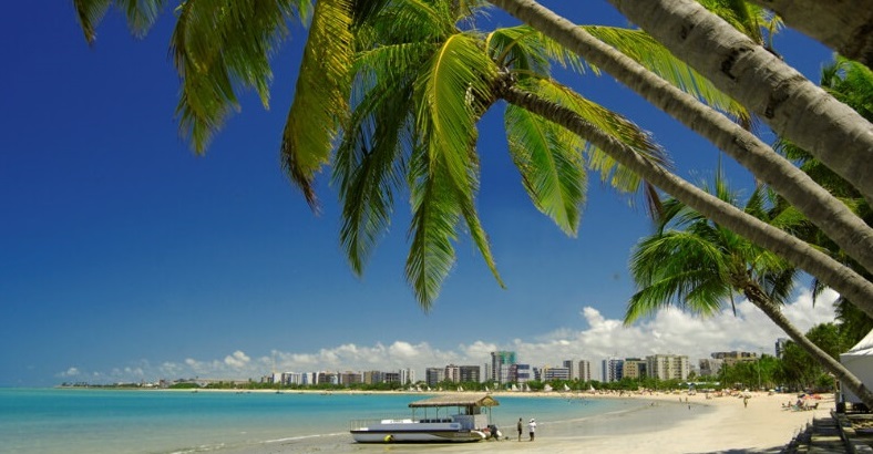 Coqueiros na Praia de Ponta Verde, em Maceió, Alagoas